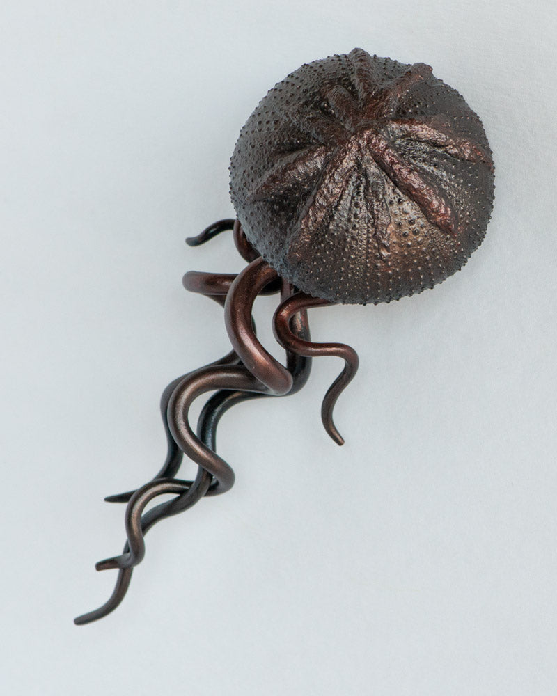 Medusae - Nebula (black currant)