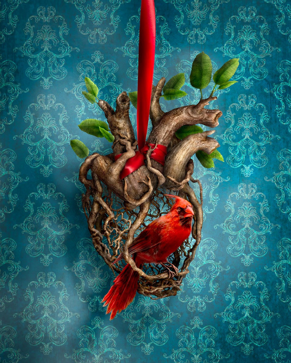 Heart of a Songbird (postcard)