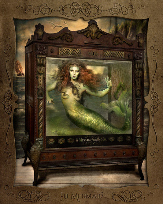 Fiji Mermaid